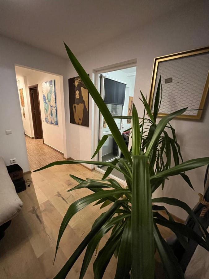O Mansarda Intima :) - The Intimate Attic :) Apartment Bragadiru Exterior photo